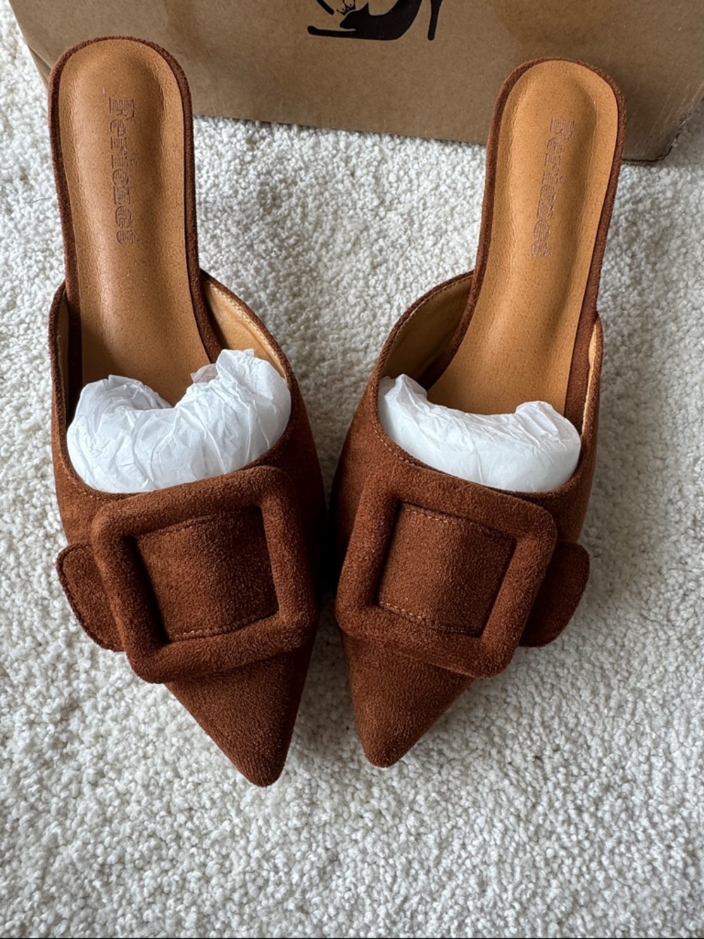 Fericzot Pointed Toe Brown Suede Mules with Buckle - Picture 2 of 5